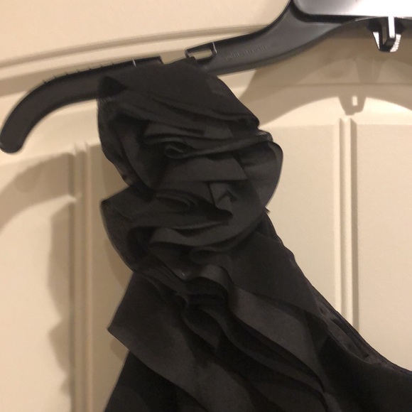 NWOT WHBM SZ 6 .Satiny lining.Chiffon & satinlook - Picture 2 of 12